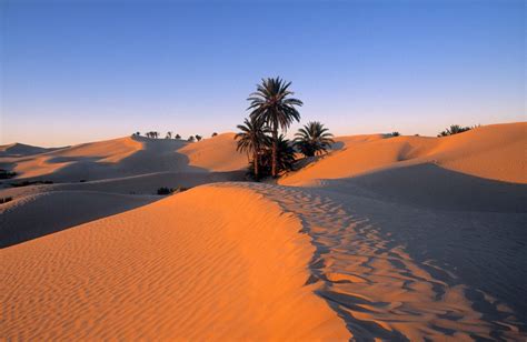 sahara wüste größe